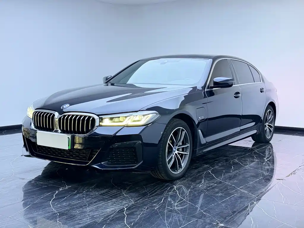 BMW 5 Series New Energy