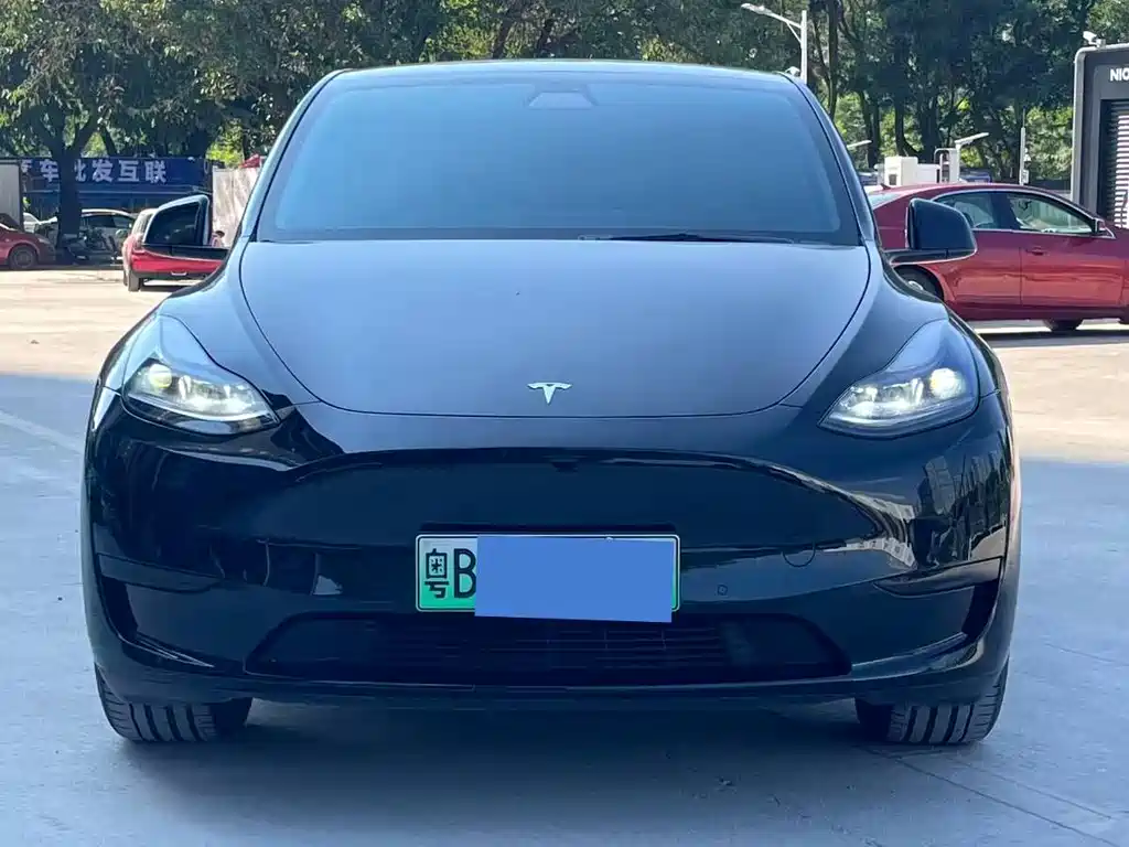 Tesla Model Y — миниатюра 2