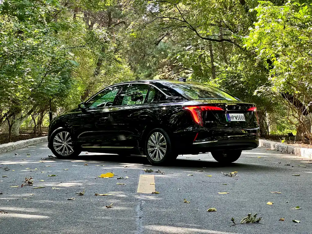 Hongqi Hongqi E-QM5 — миниатюра 6