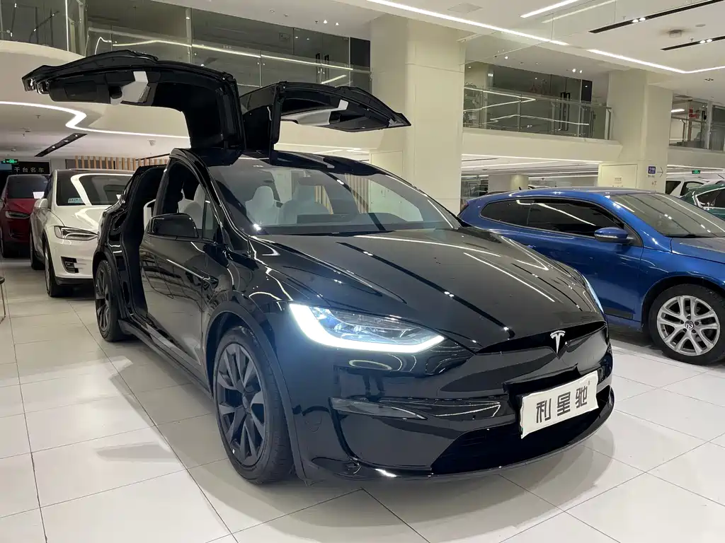 Tesla Model X — миниатюра 3