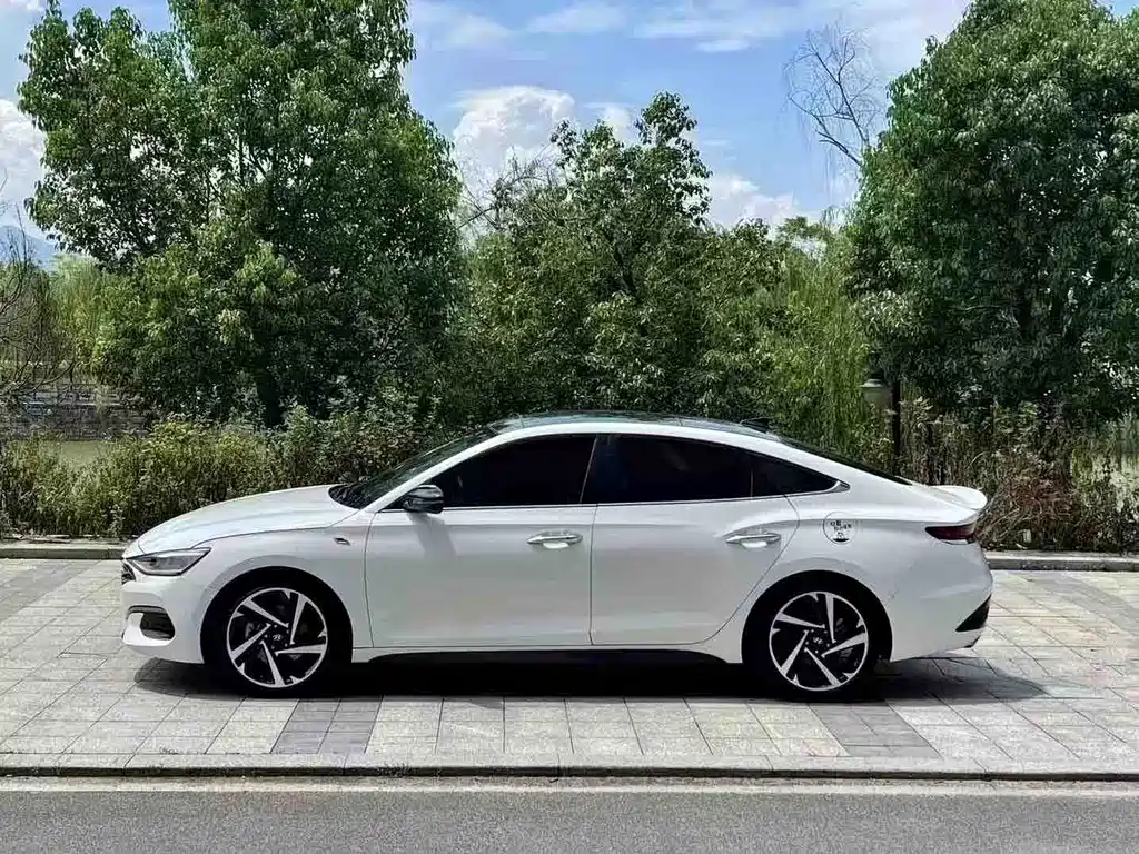 Hyundai Fista — миниатюра 3