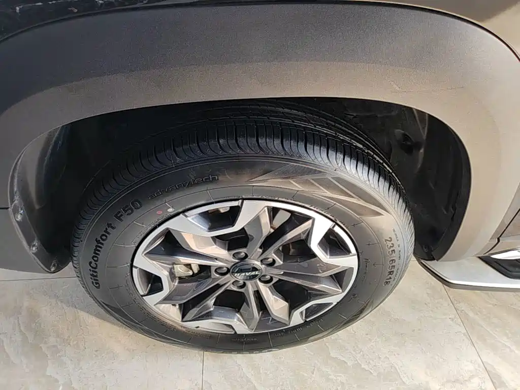 Haval Big Dog — миниатюра 23