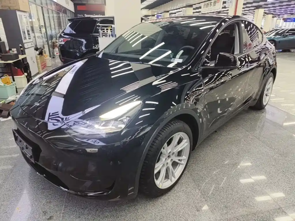Tesla Model Y — миниатюра 2