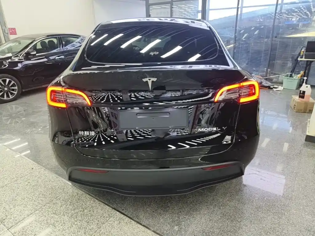 Tesla Model Y — миниатюра 6