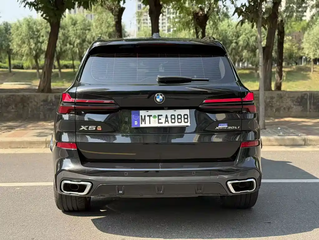BMW X5 — миниатюра 8