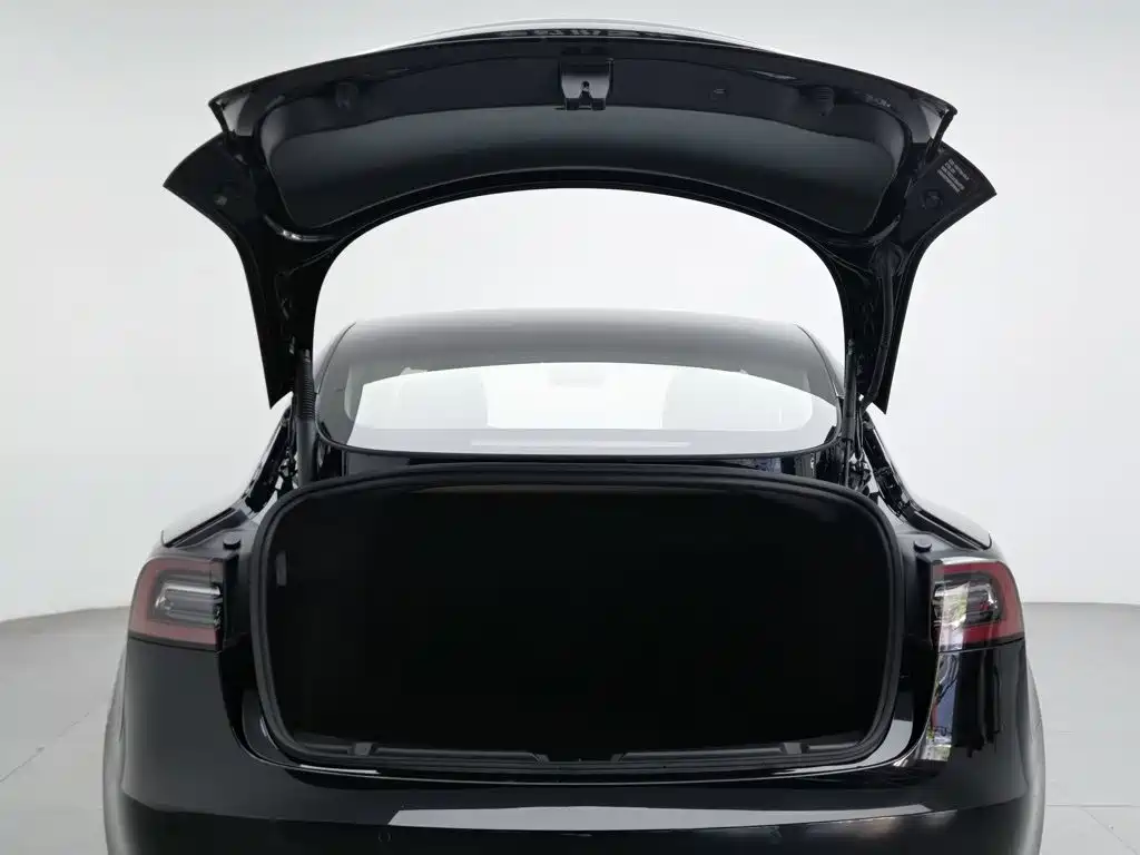 Tesla Model 3 — миниатюра 16