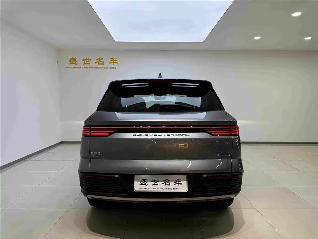 BYD Pro New Energy — миниатюра 17