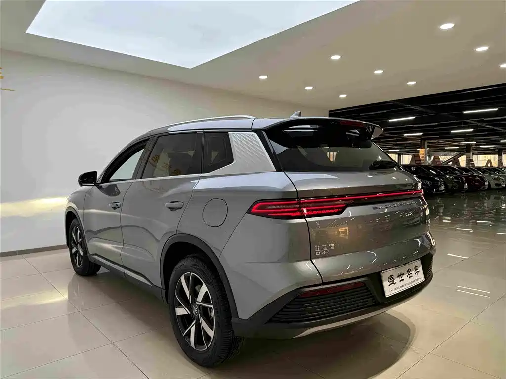 BYD Pro New Energy — миниатюра 18