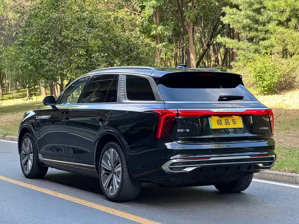 Hongqi Hongqi E-HS9 — миниатюра 5