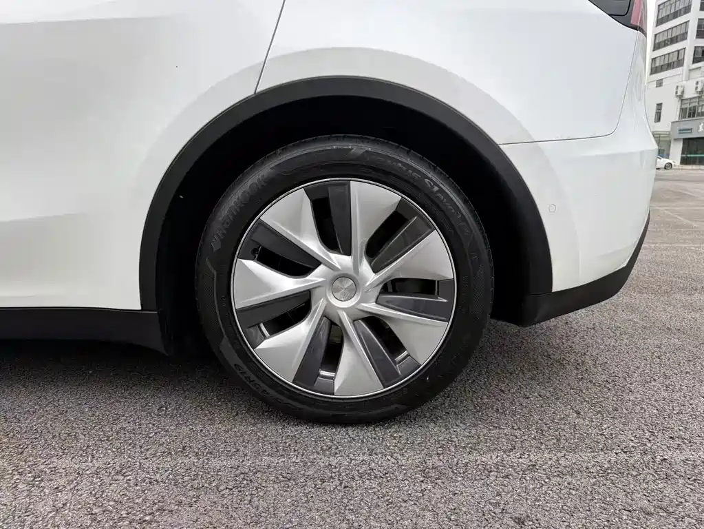 Tesla Model Y — миниатюра 10