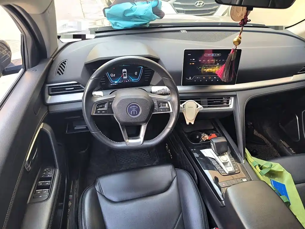 BYD Pro — миниатюра 7