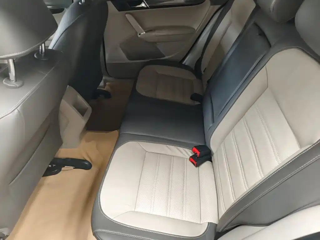 Volkswagen Gran Lavida — миниатюра 17