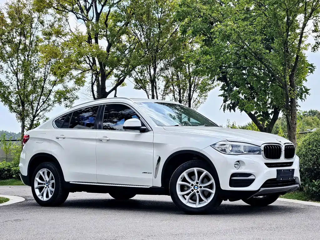 BMW X6 — миниатюра 3