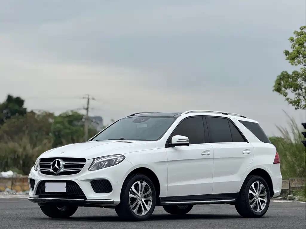 Купить Mercedes-Benz 奔驰GLE(进口)