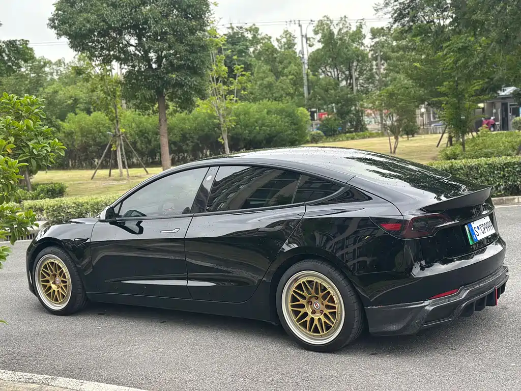 Tesla Model 3 2021 Performance 3D6