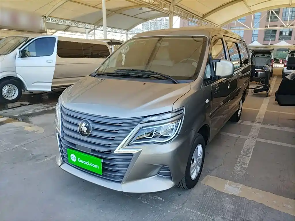 Fengxing Lingzhi 2025