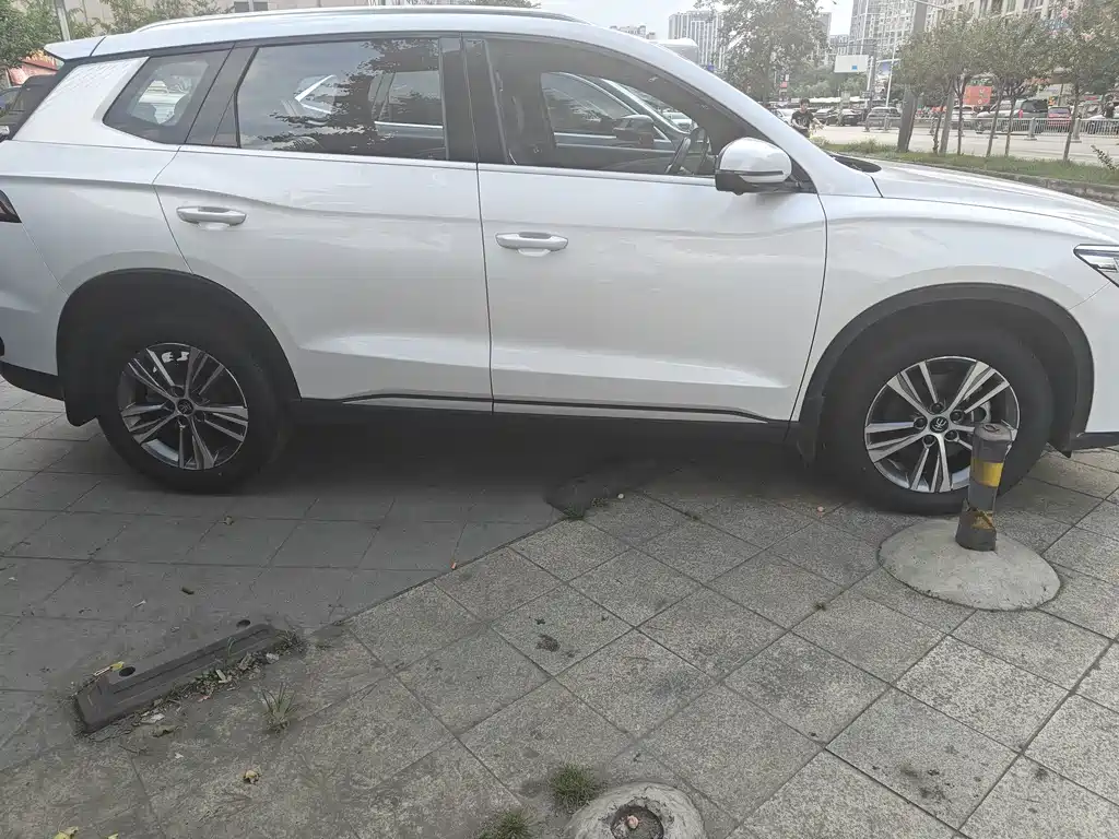 BYD Pro — миниатюра 7