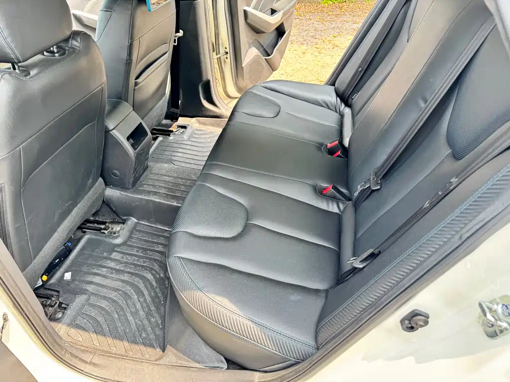 Venucia D60EV