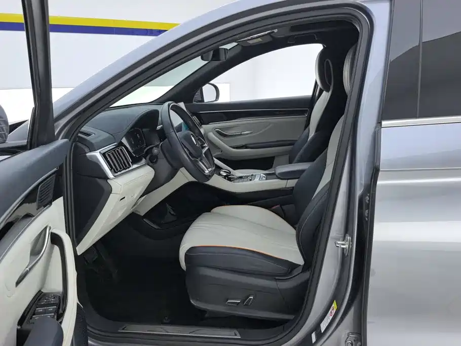 BYD PLUS New Energy — миниатюра 9
