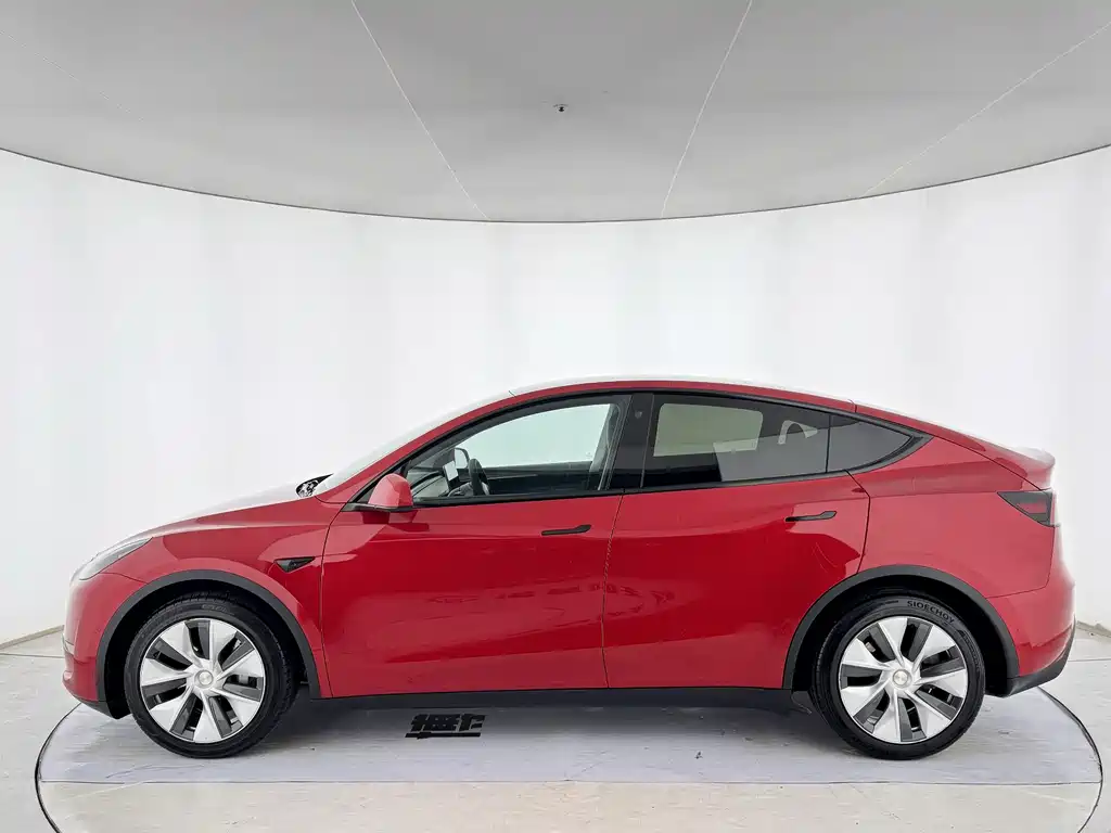 Tesla Model Y — миниатюра 4