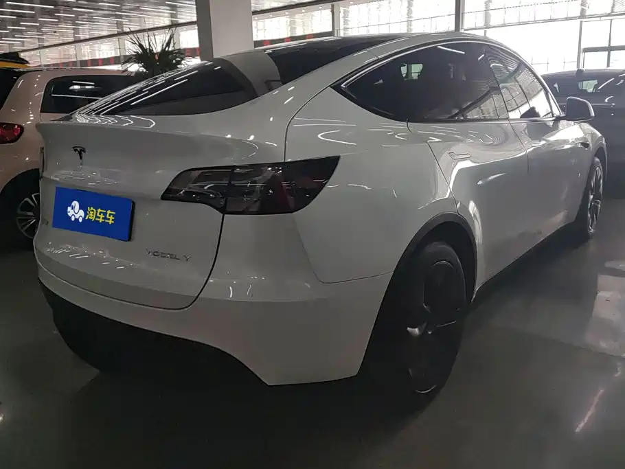 Tesla Model Y — миниатюра 3