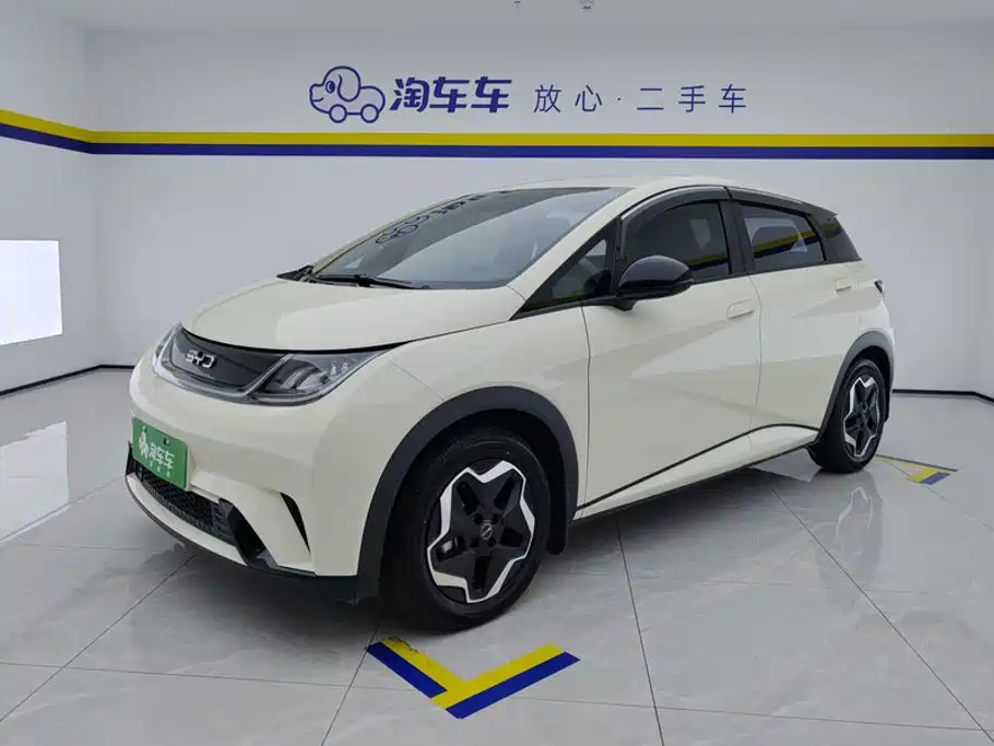 BYD Dolphin