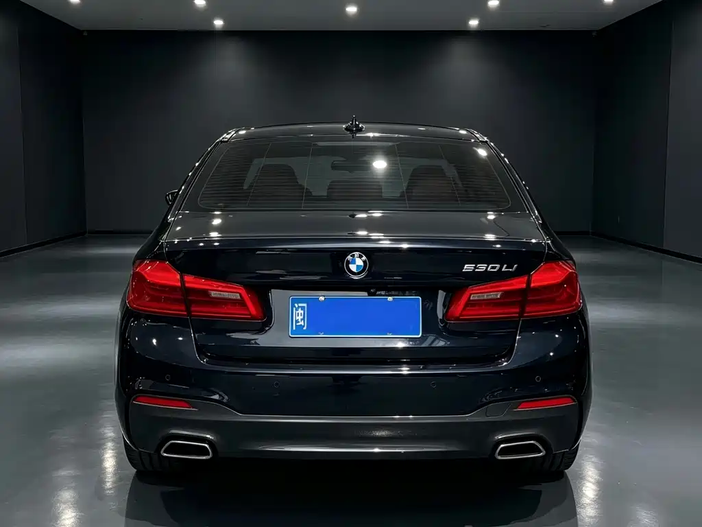 BMW 5 Series — миниатюра 8