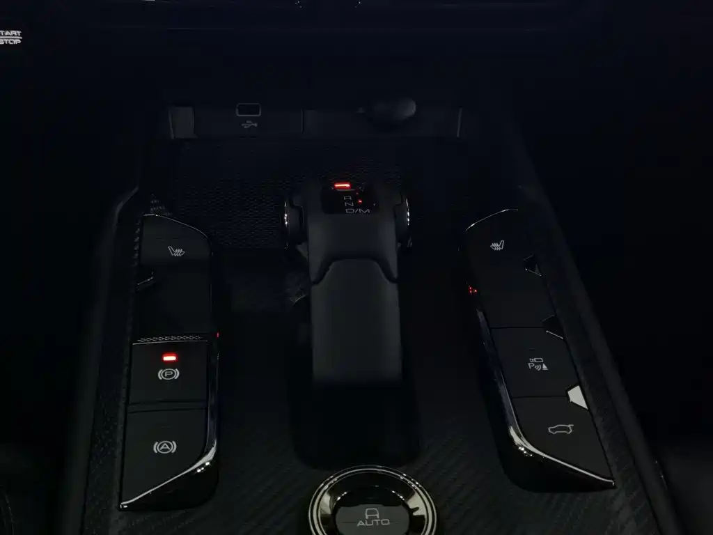 Haval Big Dog PLUS — миниатюра 13
