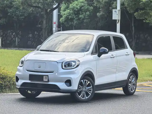 2025 Leapmotor T03