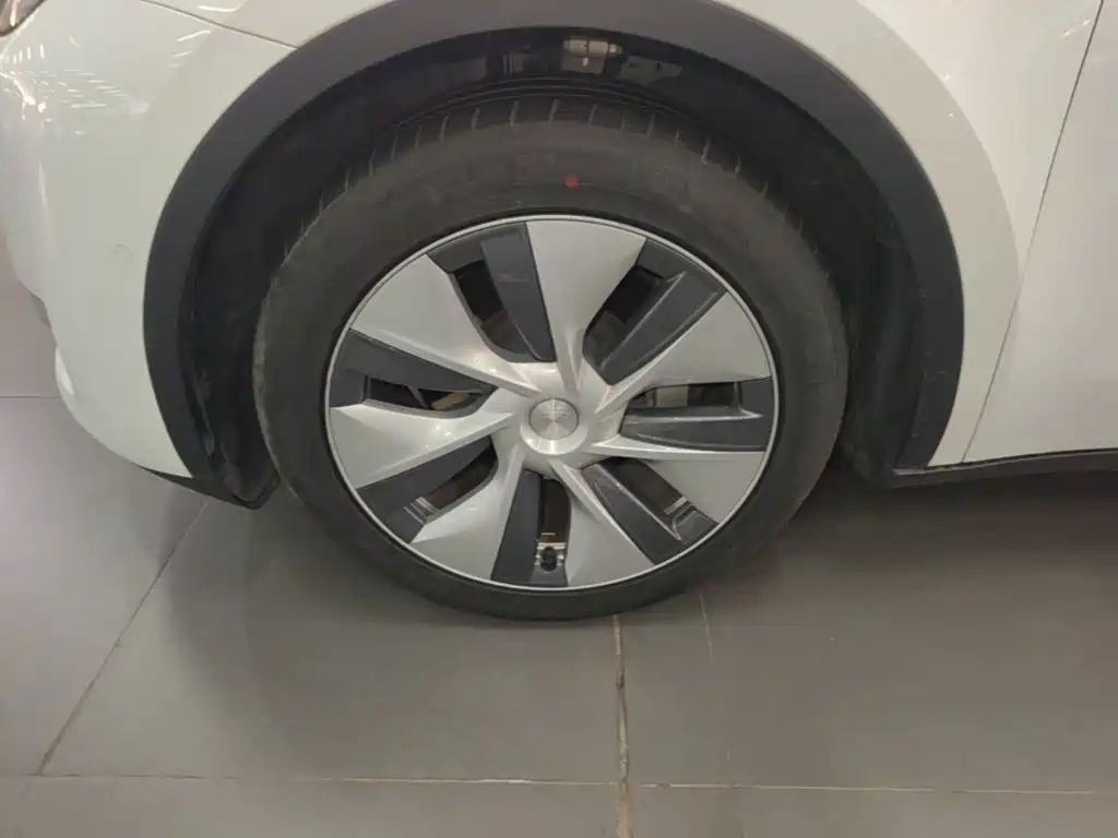 Tesla Model Y — миниатюра 23