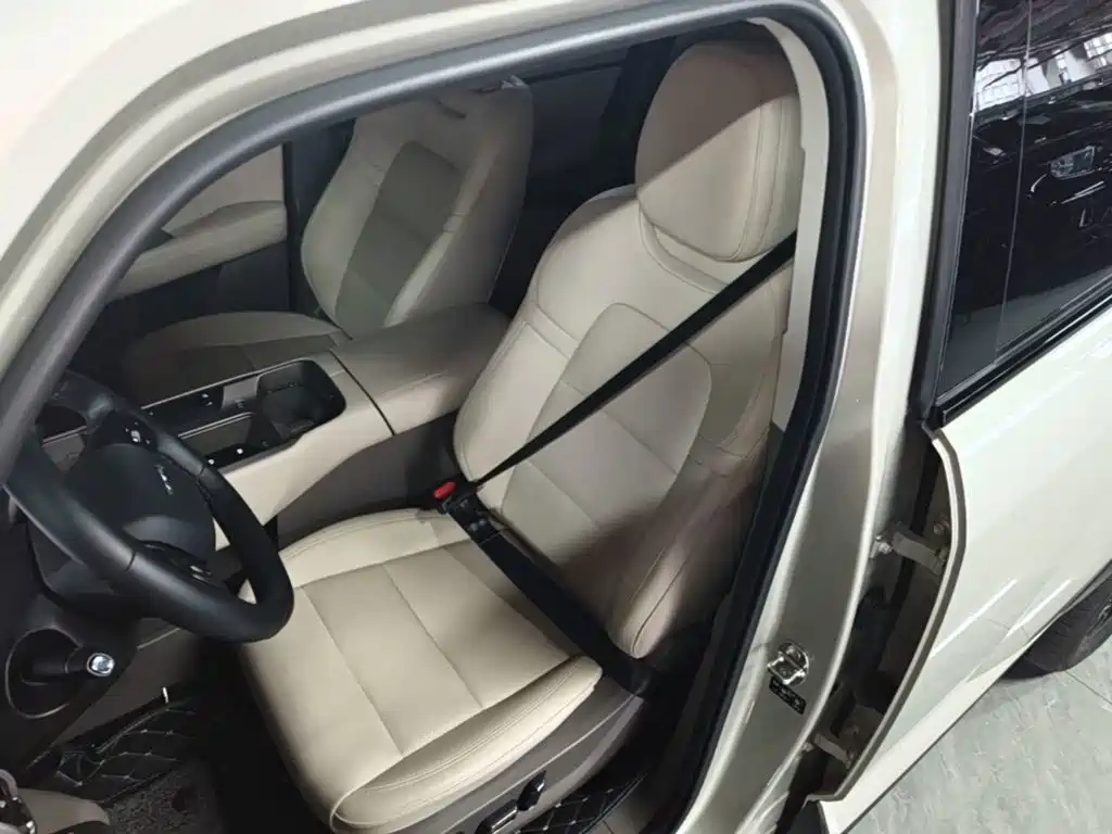 Haval Big Dog PLUS New Energy — миниатюра 15
