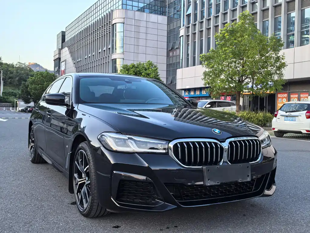 BMW 5 Series — миниатюра 3
