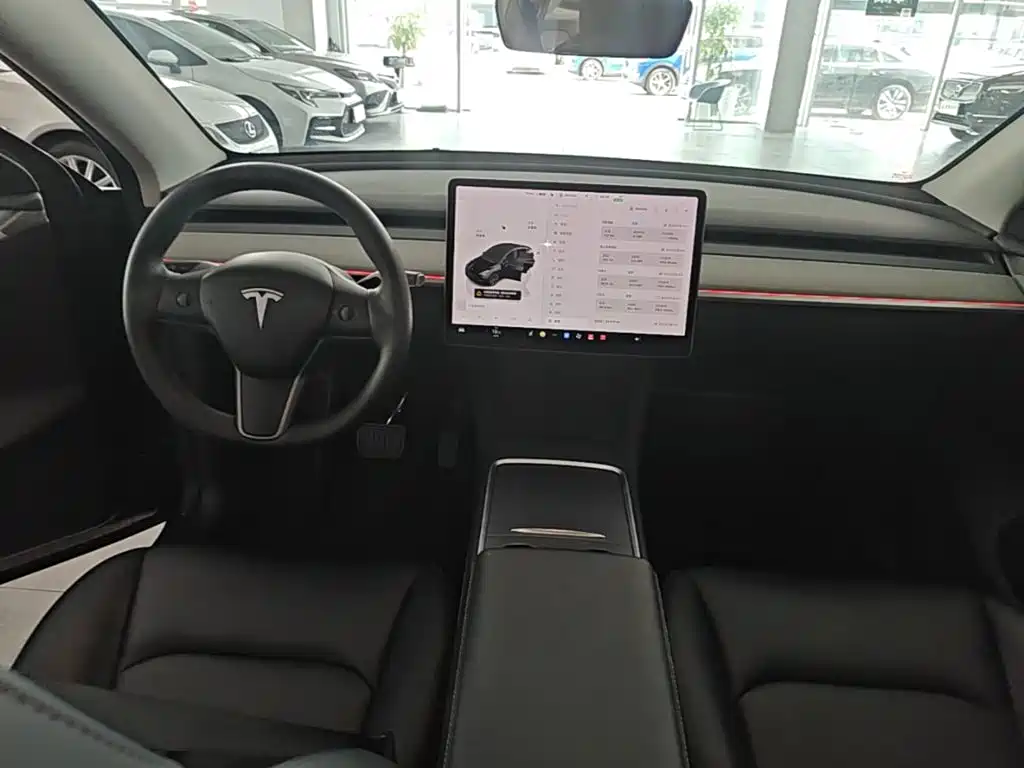 Tesla Model Y — миниатюра 10
