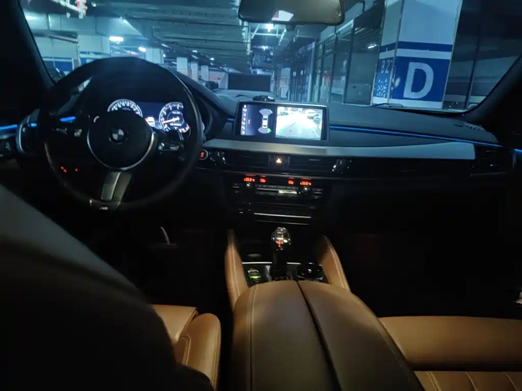 BMW X6 — миниатюра 5