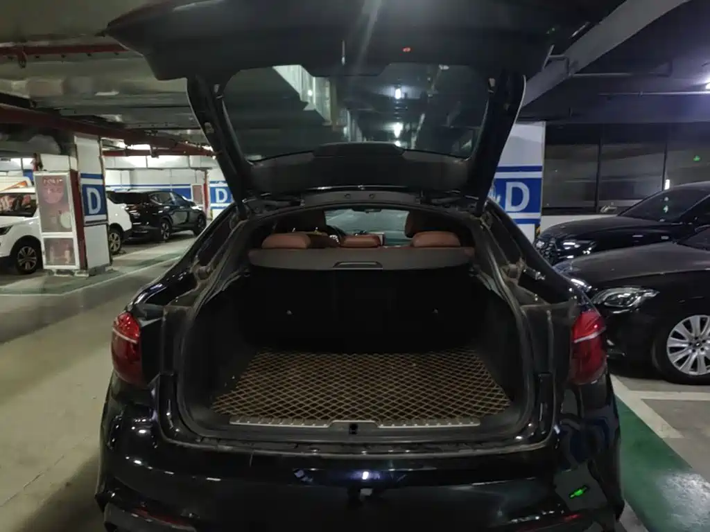 BMW X6 — миниатюра 15