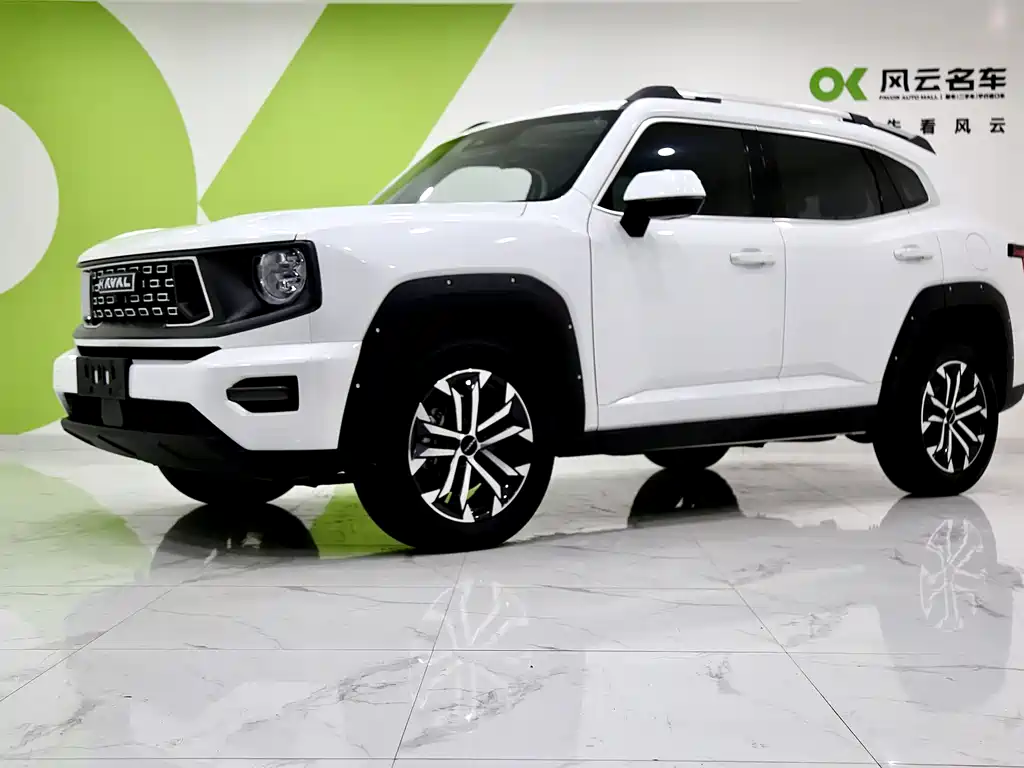 HAVAL SECOND GENERATION BIG DOG