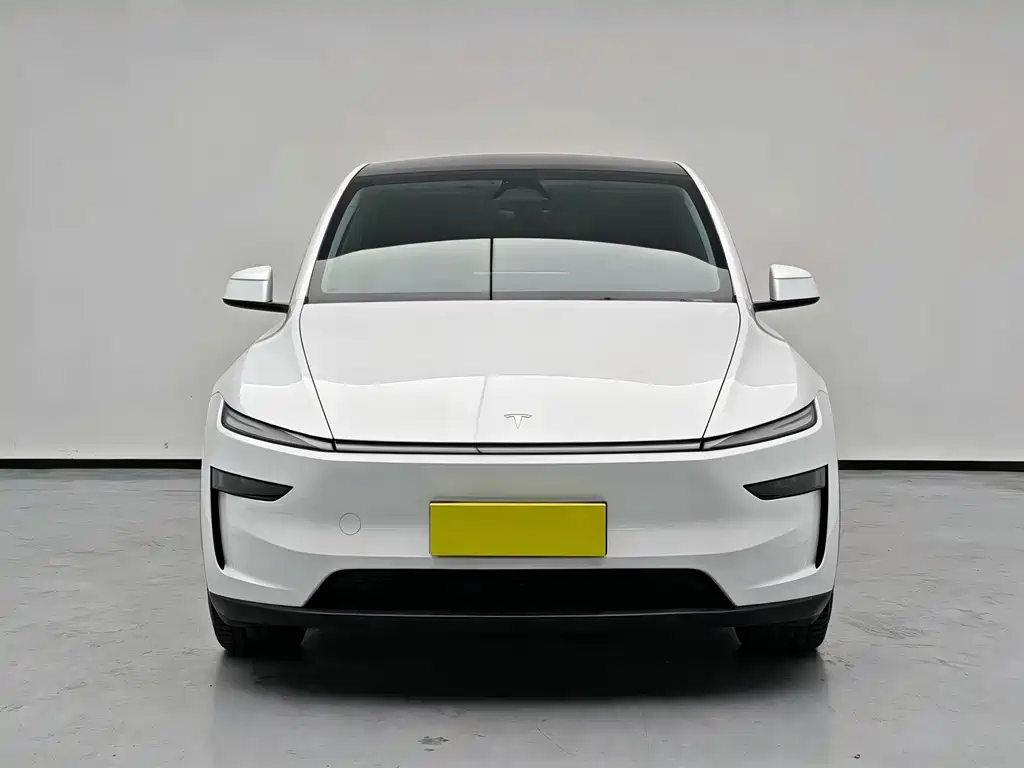 Tesla Model Y — миниатюра 2