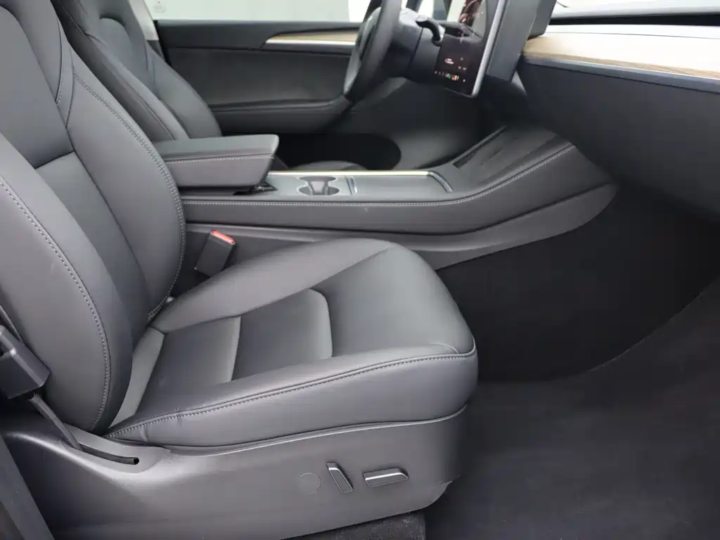 Tesla Model Y — миниатюра 8