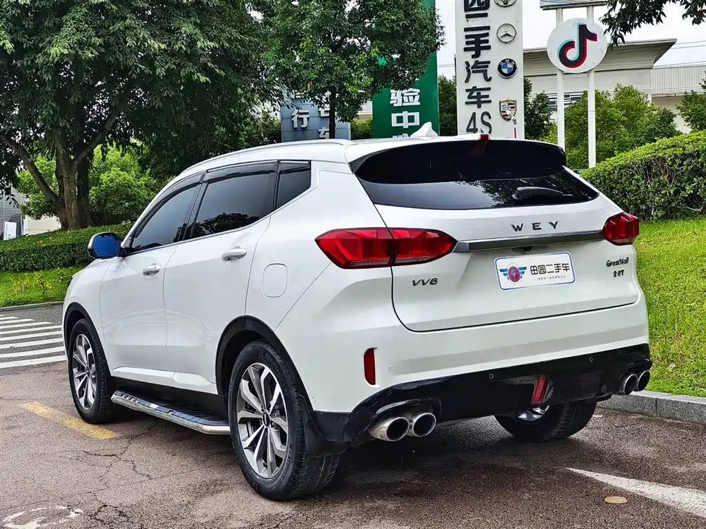 WEI PAI WEI BRAND VV6