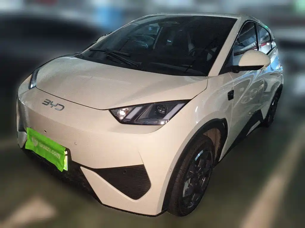 BYD Seagull 2025 Smart Drive 305km Freedom