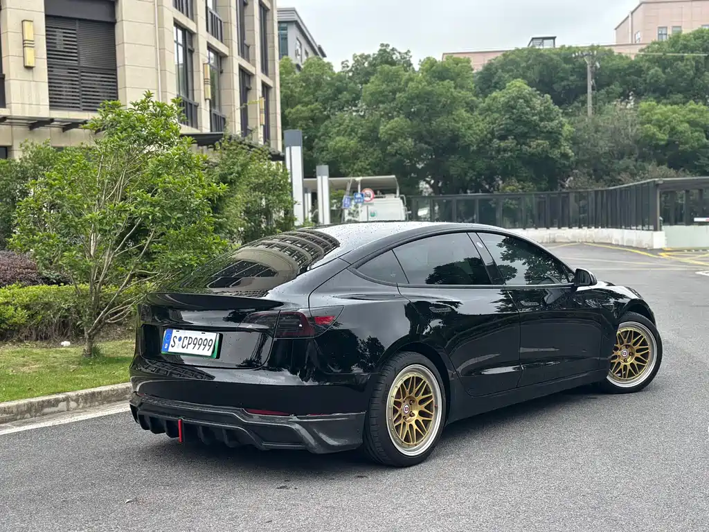 Tesla Model 3 2021 Performance 3D6