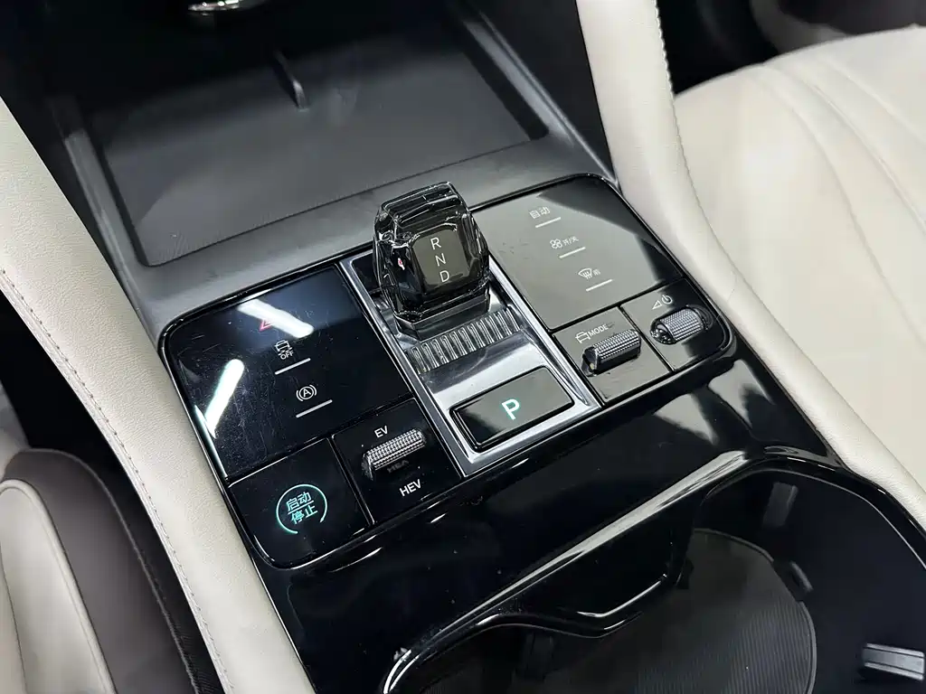 BYD PLUS New Energy — миниатюра 13