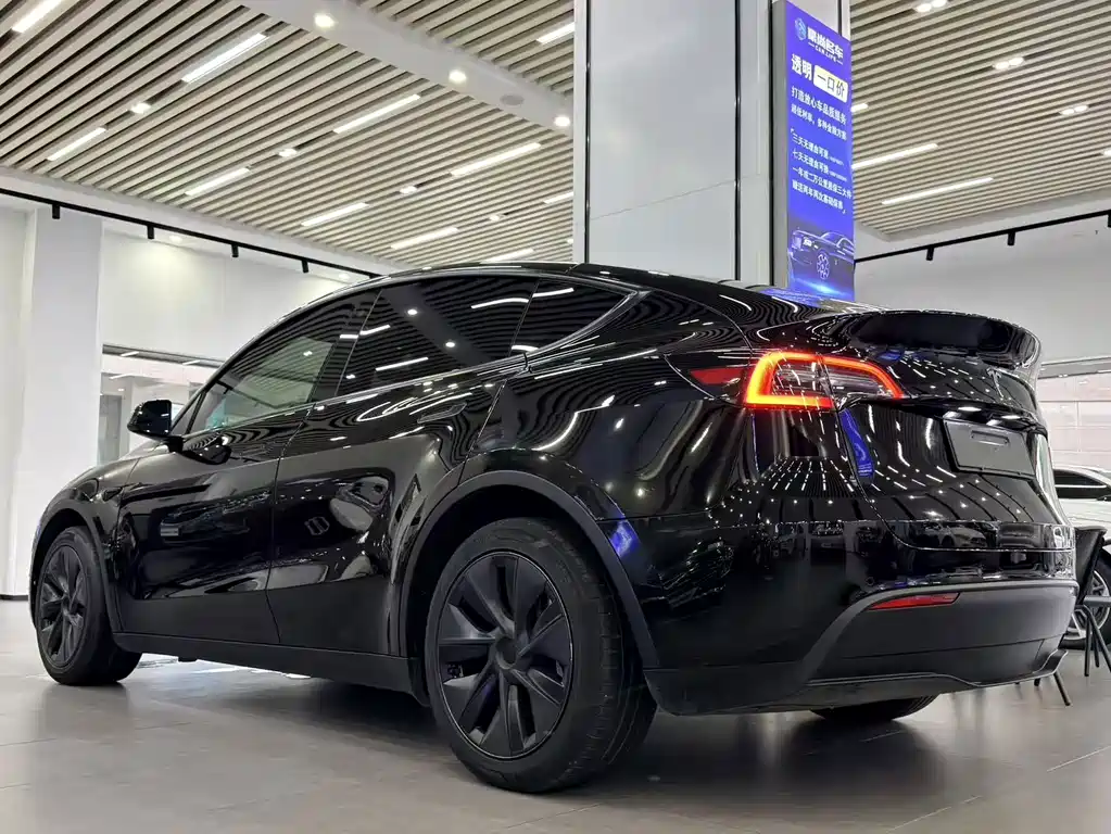 Tesla Model Y — миниатюра 4