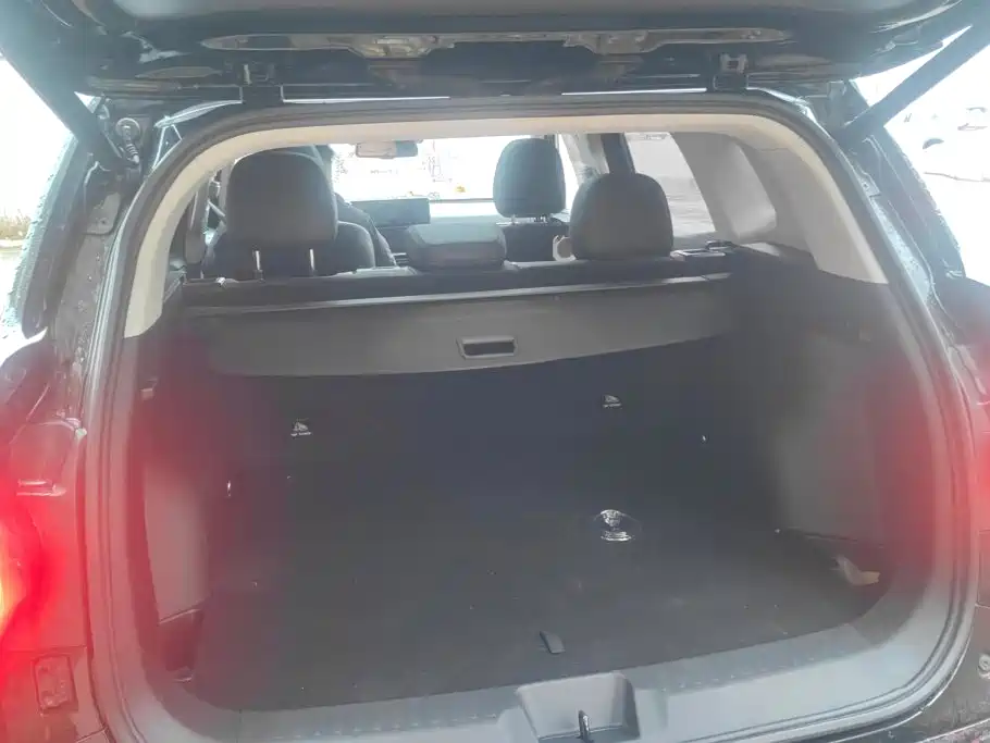Haval Big Dog PLUS New Energy — миниатюра 4