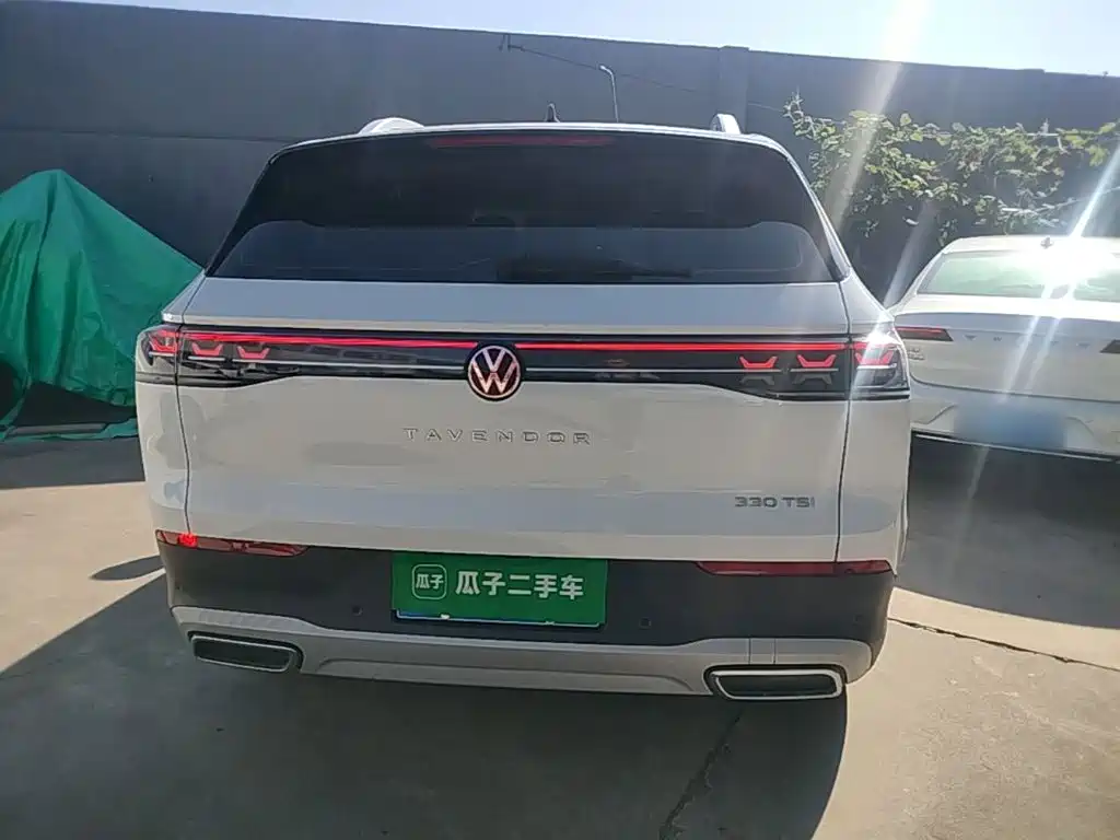 Volkswagen Tavendor — миниатюра 4
