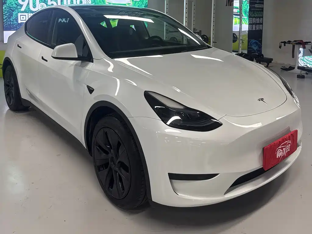 Tesla Model Y — миниатюра 3