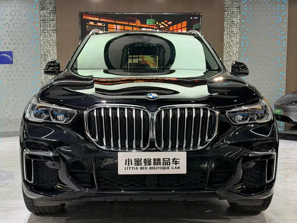 BMW X5 2022 xDrive 30Li Premium M Sport