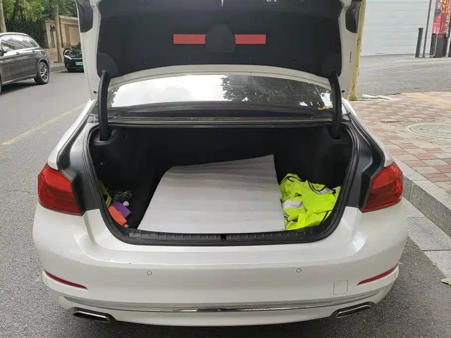 BMW 5 Series 5 2018 530Li Premium Luxury