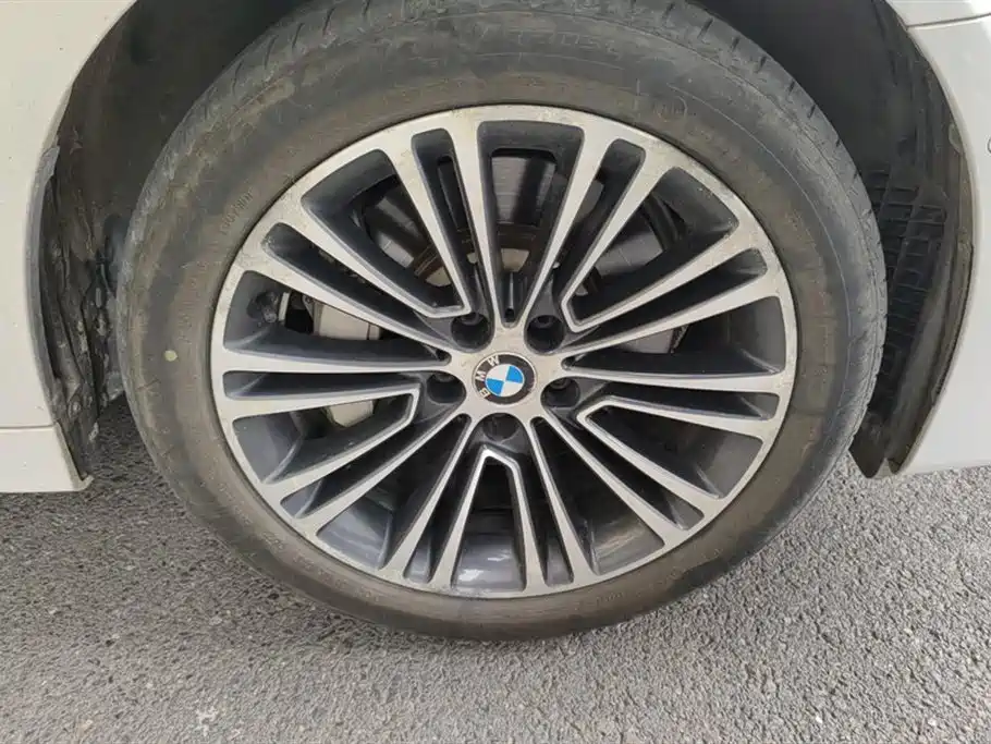 BMW 5 Series 5 2018 530Li Premium Luxury