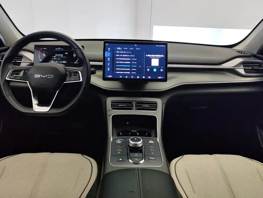 BYD Destroyer 05 — миниатюра 12